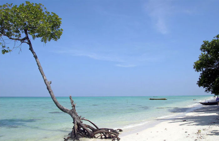 Merk Bay Beach